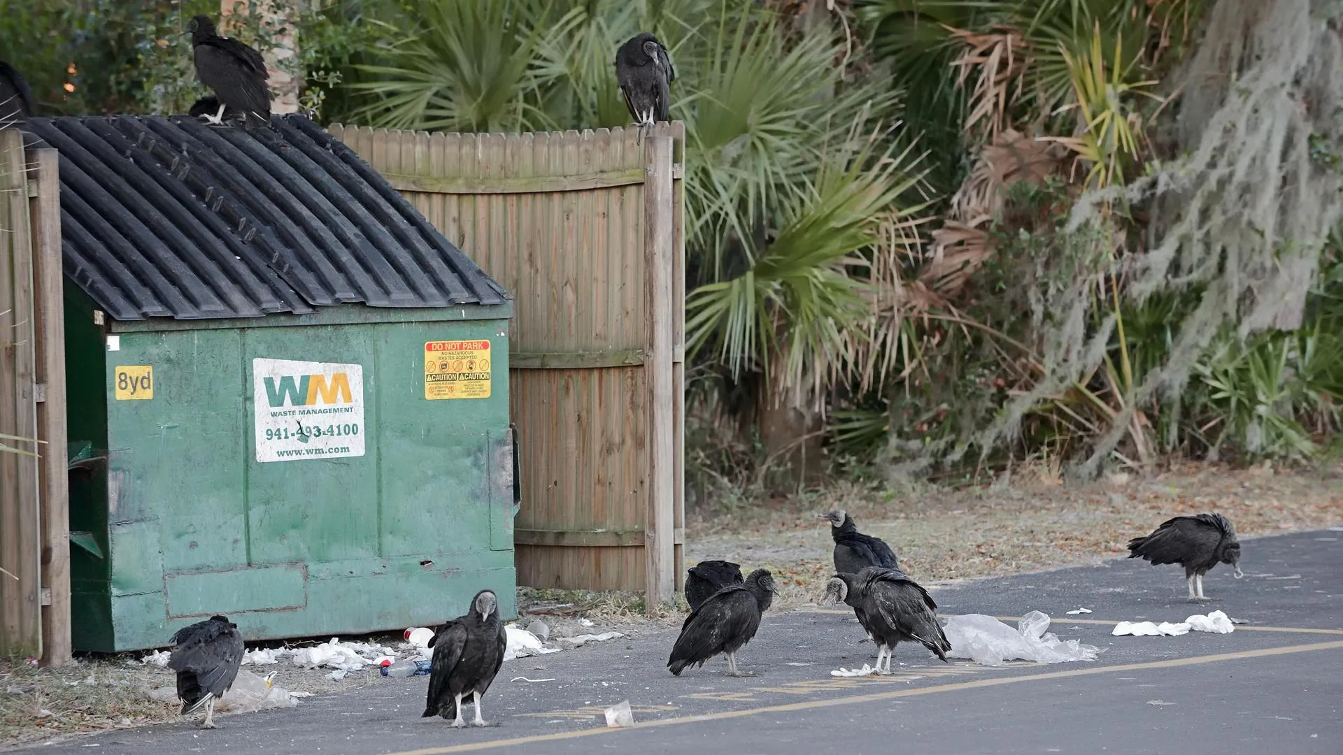 Christian Hütter/imageBROKER.com