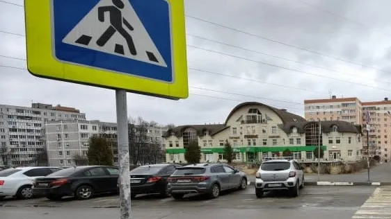 Фото: пресс-служба ГУ МВД России по Московской области