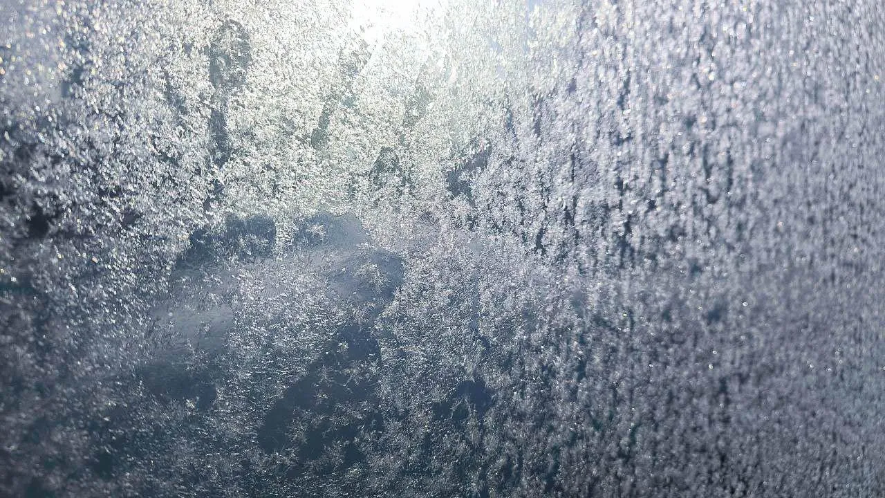 REGIONS/Роман Малышенко