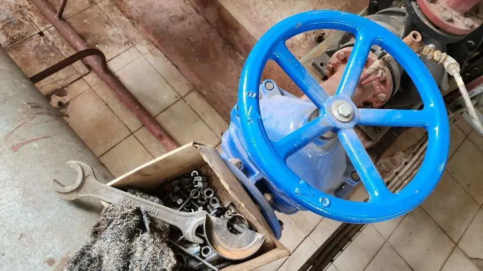 Фото: МедиаБанк Подмосковья/Елена Лабзина