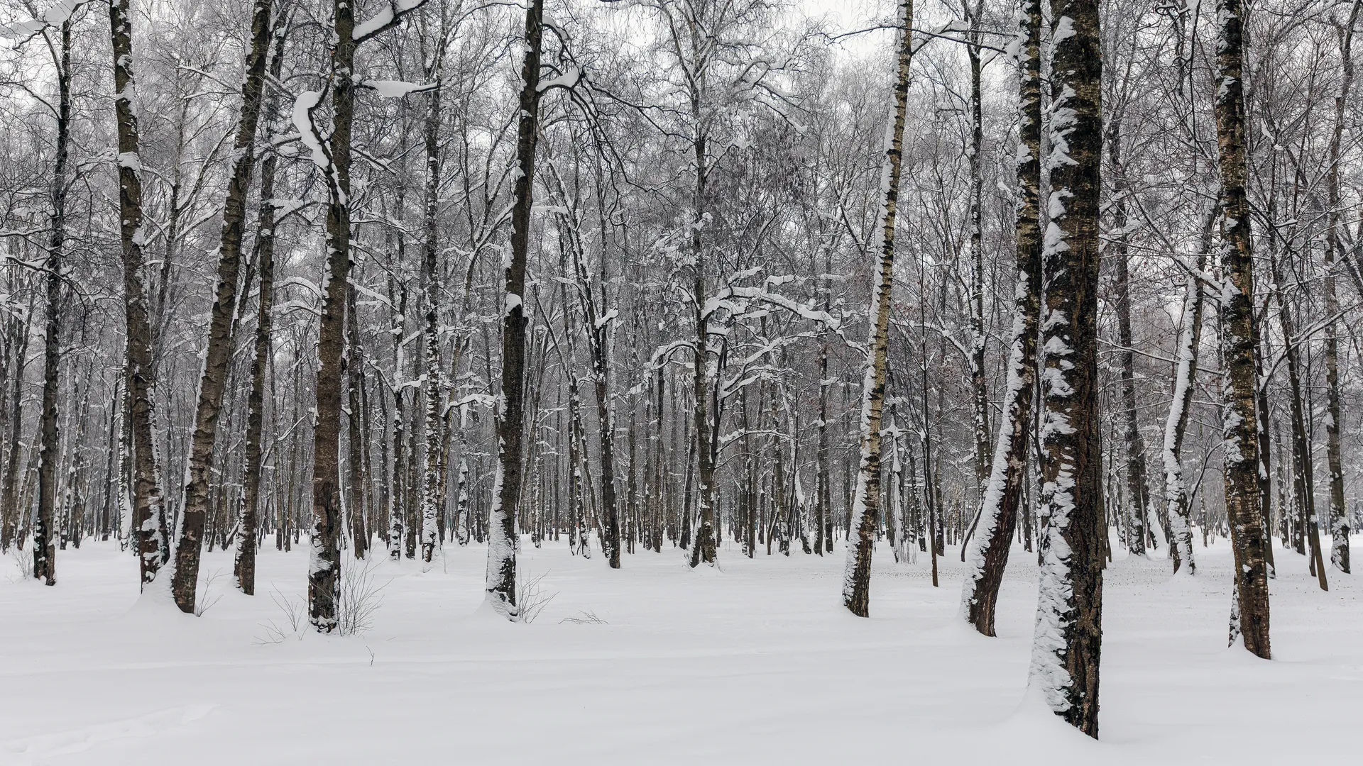 медиасток.рф