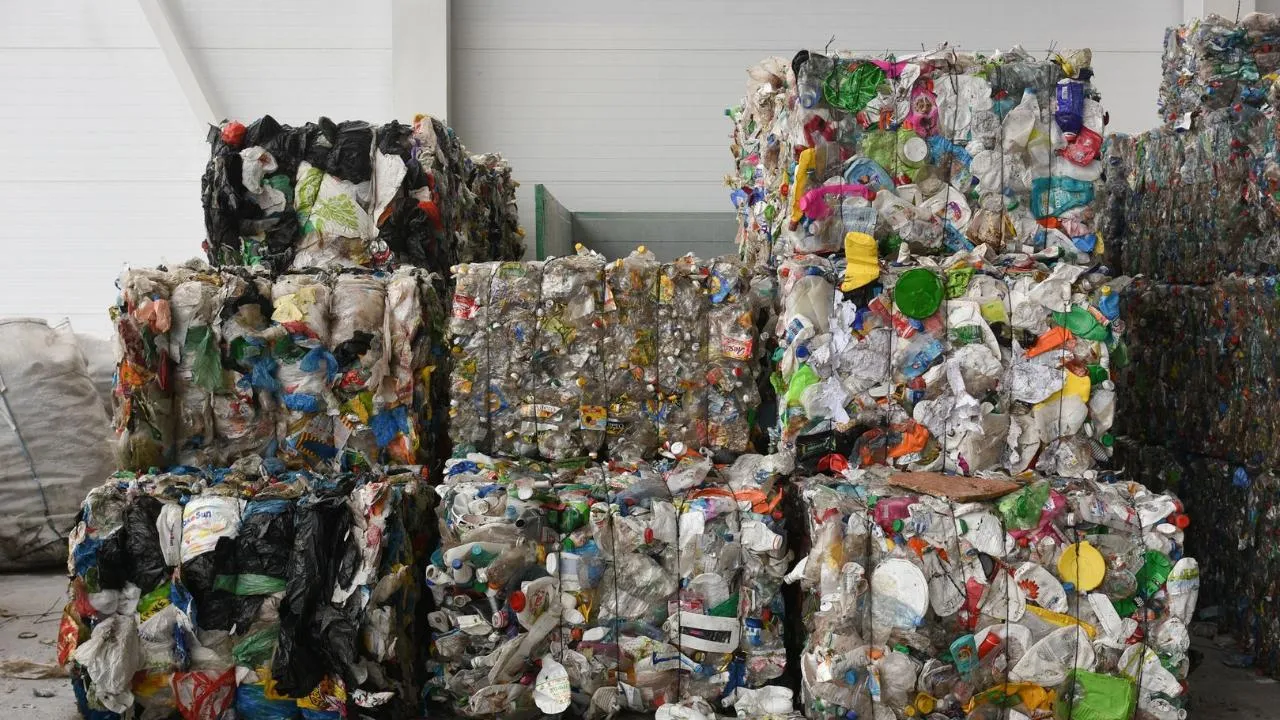 Более 7500 предприятий Архангельской области уклонились от подписания соглашений об обращении с ТКО