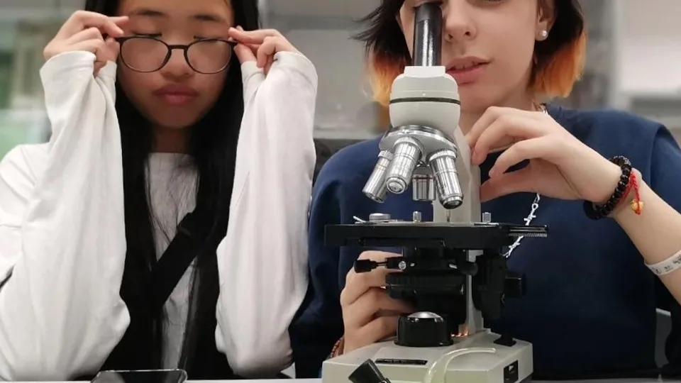 Фото: Министерство образования Московской области