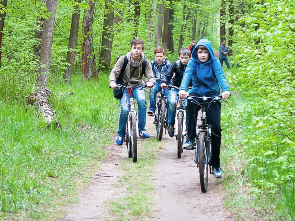 Лесная тропинка в сторону Белопесоцкого котлована. Фото: Юрий Котов