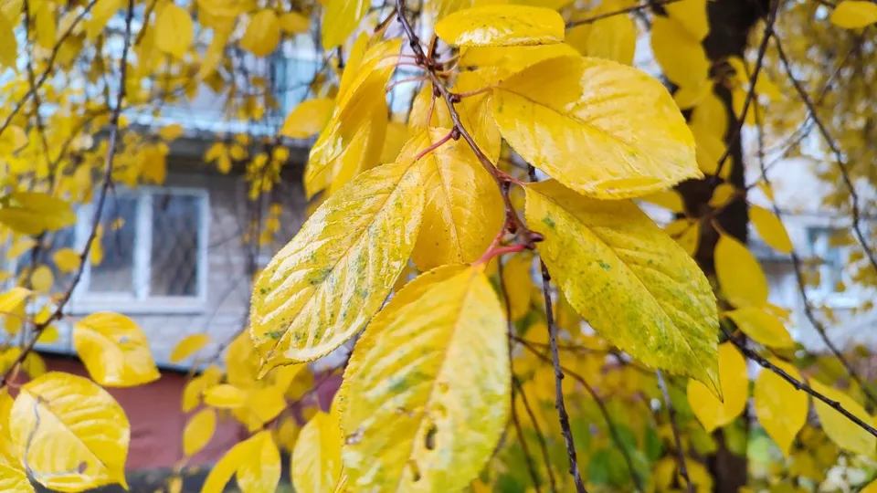 Фото: REGIONS/Елена Забелина