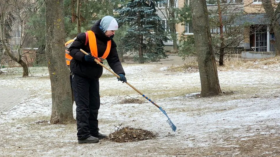 Фото: МедиаБанк Подмосковья/Мария Панина