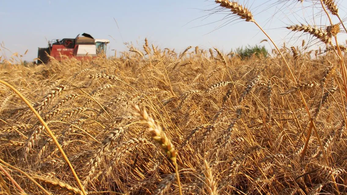 Фото: пресс-служба губернатора и правительства Московской области
