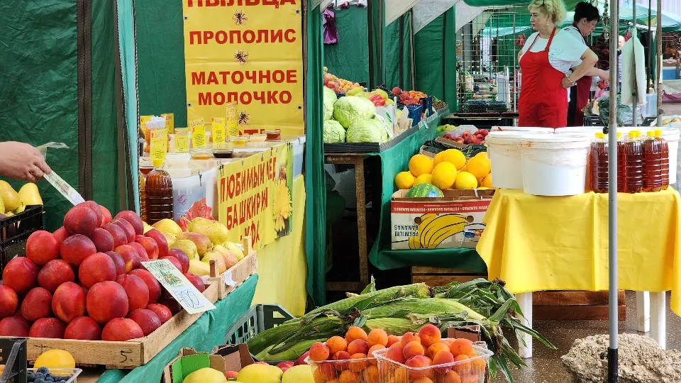 Фото: МедиаБанк Подмосковья/Хавива Фонина