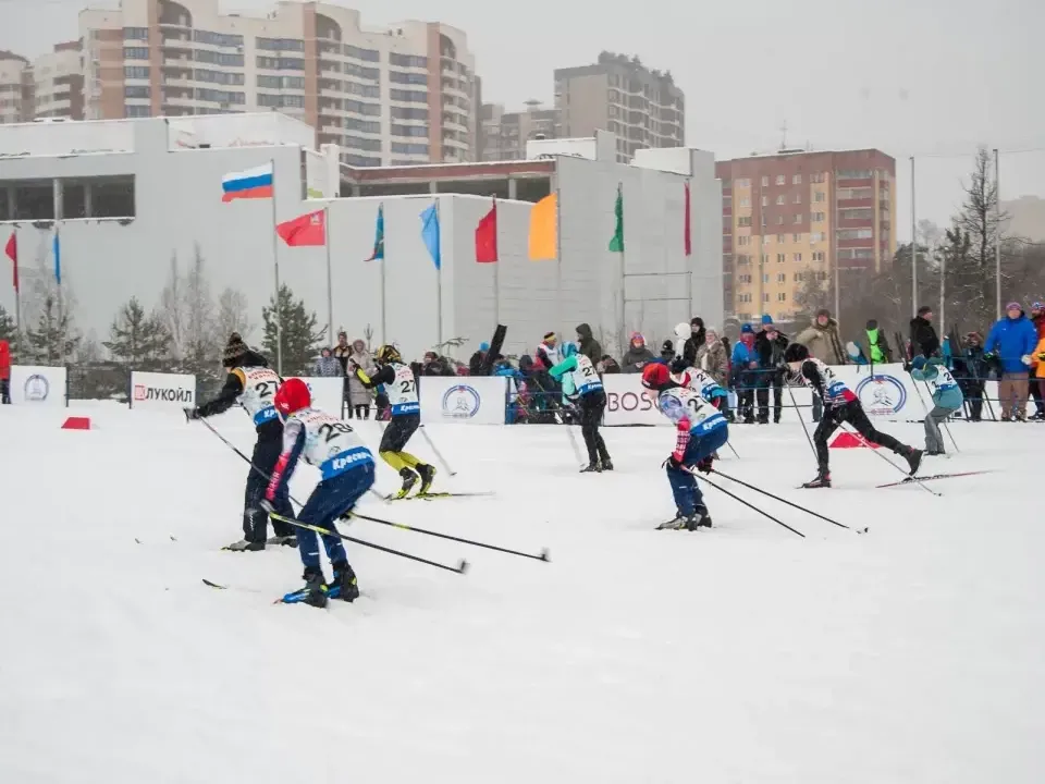 Фото: пресс-служба администрации г.о. Красногорск