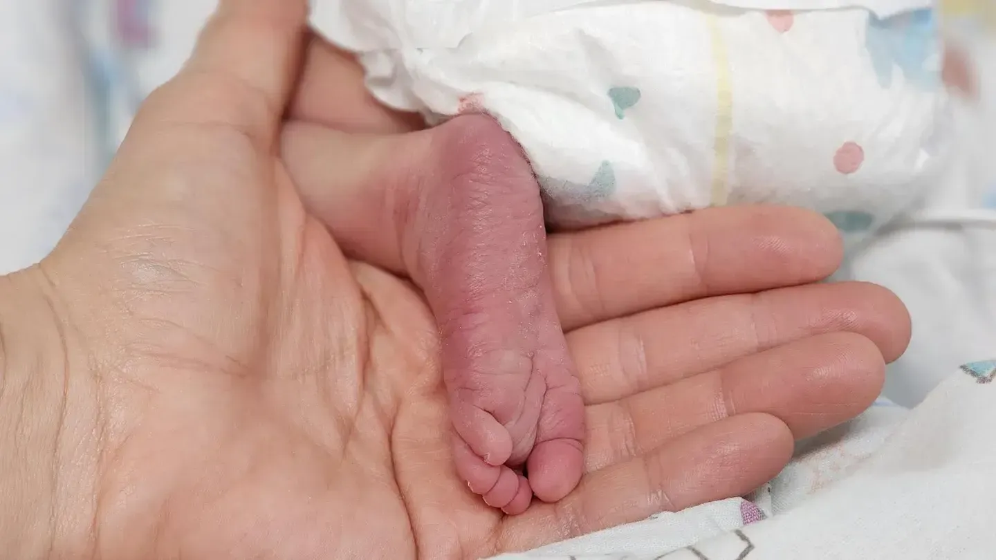 МедиаБанк Подмосковья/Валентина Максимова