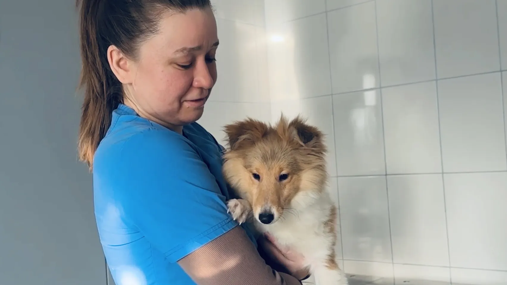 Фото: МедиаБанк Подмосковья/Ольга Стаферова