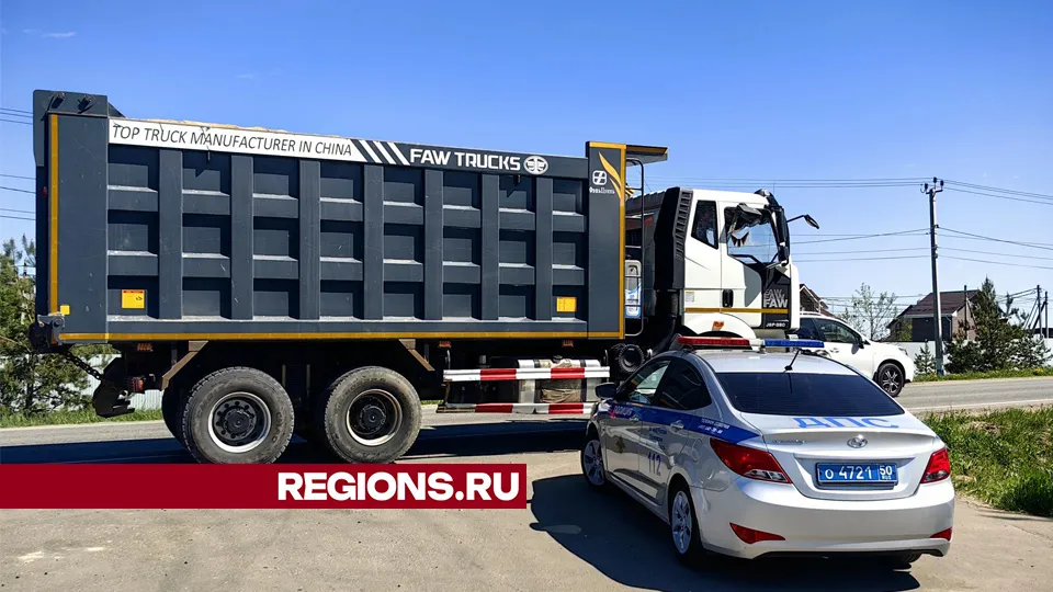 Фото: Елена Катасонова