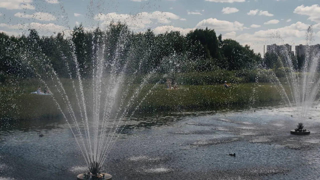 Фото: администрация г.о. Пушкинский