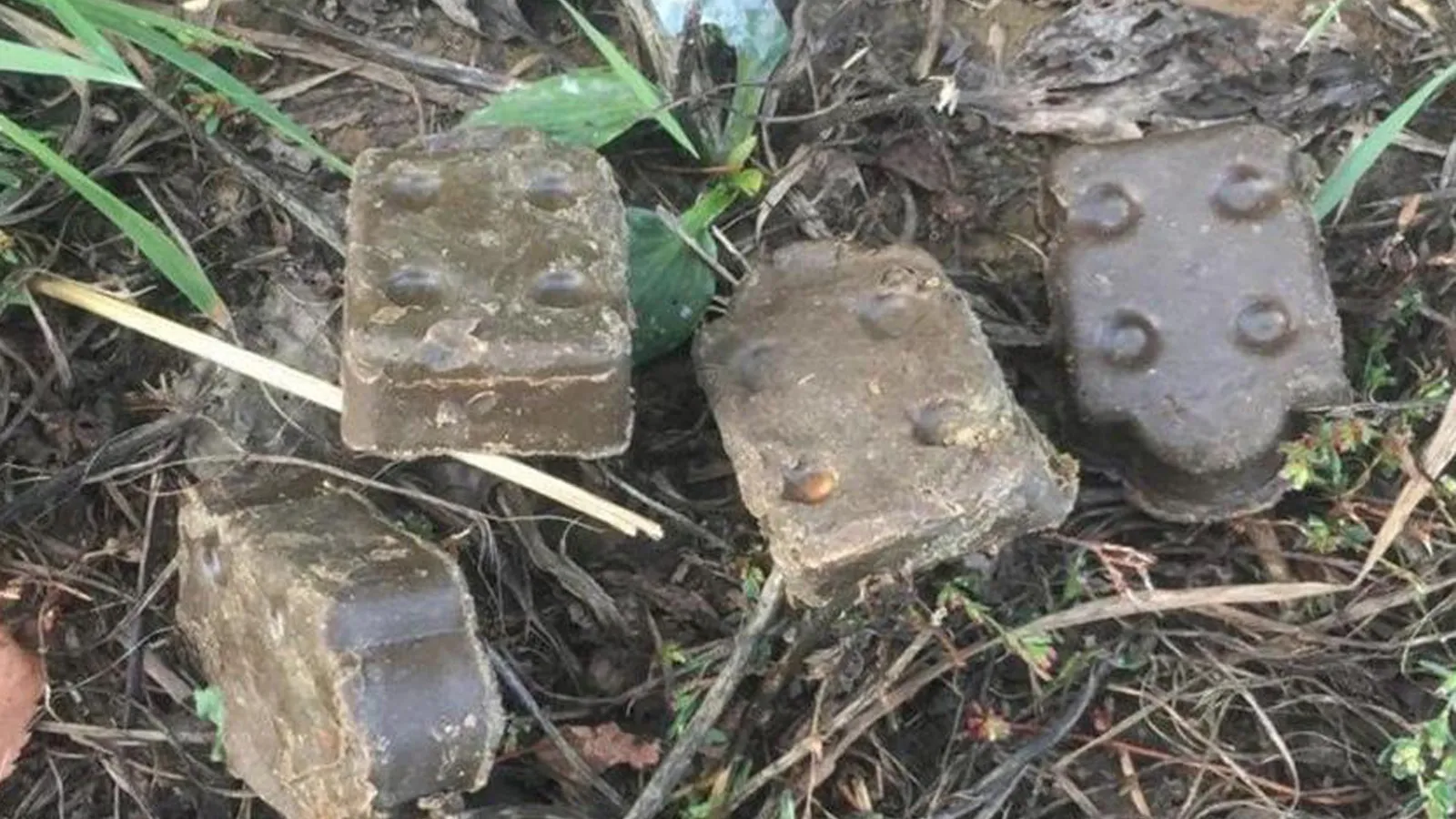 Фото: Станция по борьбе с болезнями животных