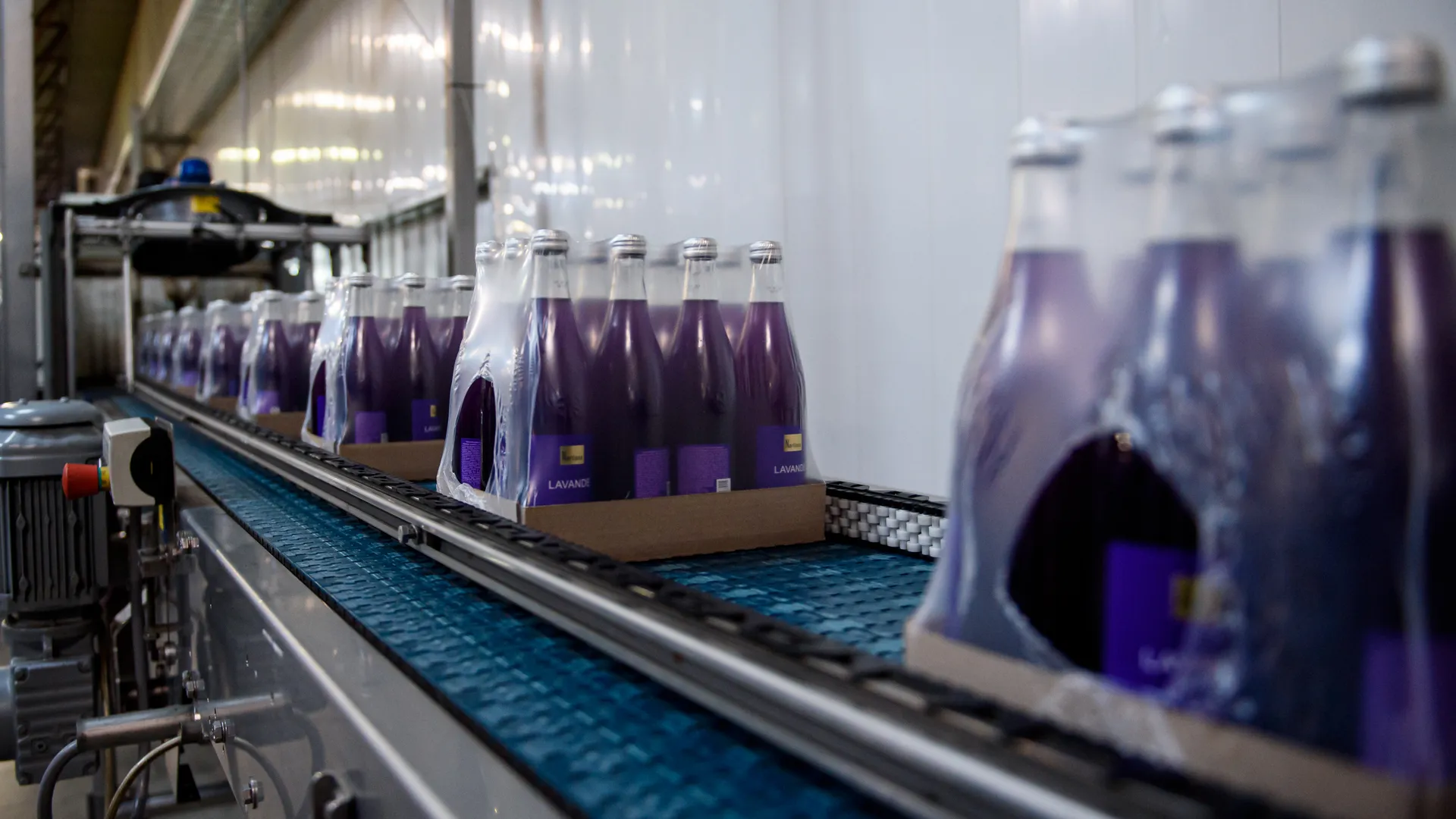 Аналог Сoca‑Cola начали производить в Подмосковье