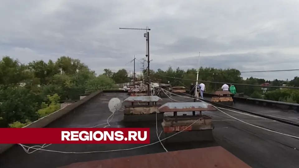Фото: Валерия Ерофеева