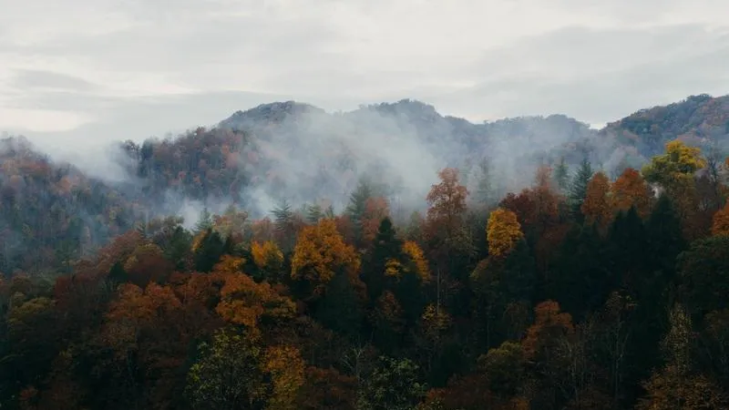 МедиаБанк Подмосковья