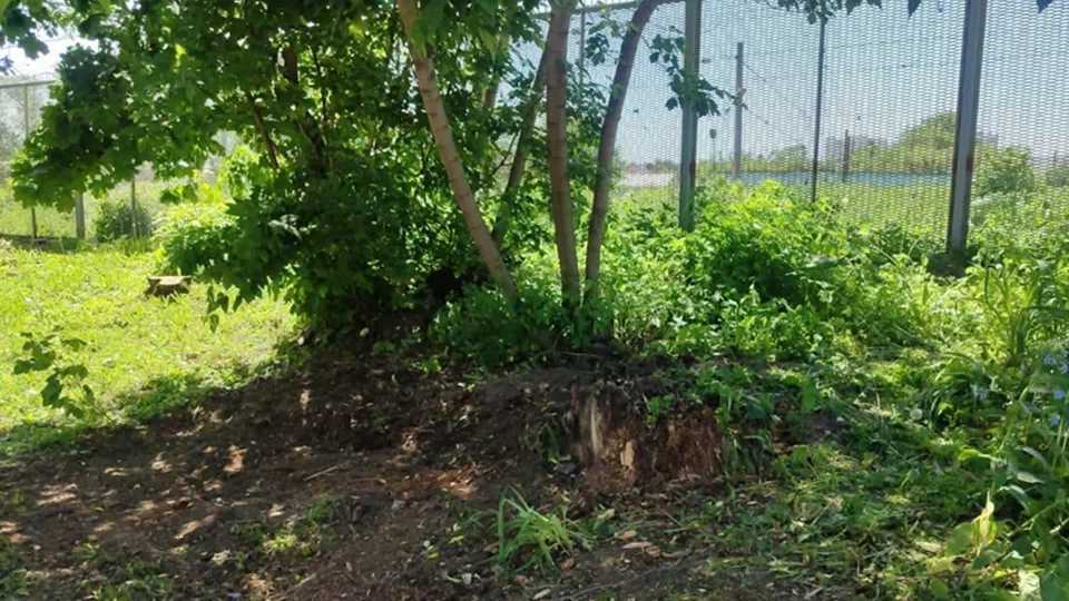 Фото: Министерство по содержанию территорий и государственному жилищному надзору МО