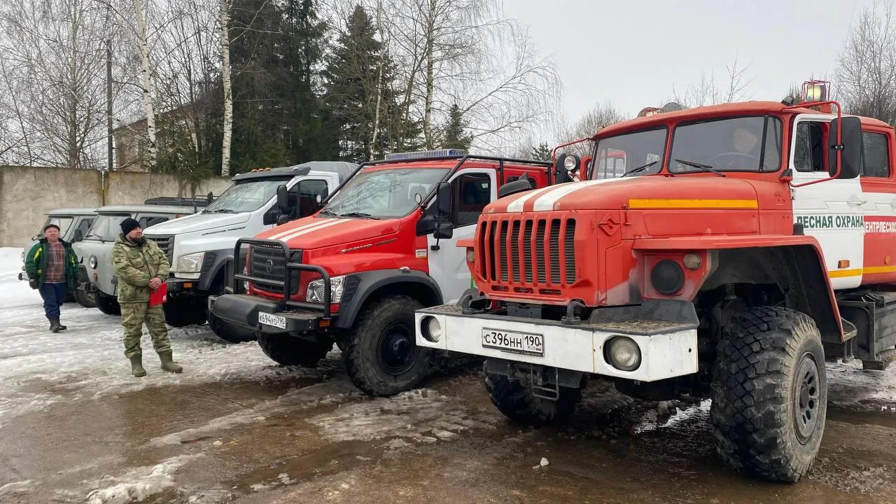 Комитет лесного хозяйства Московской области