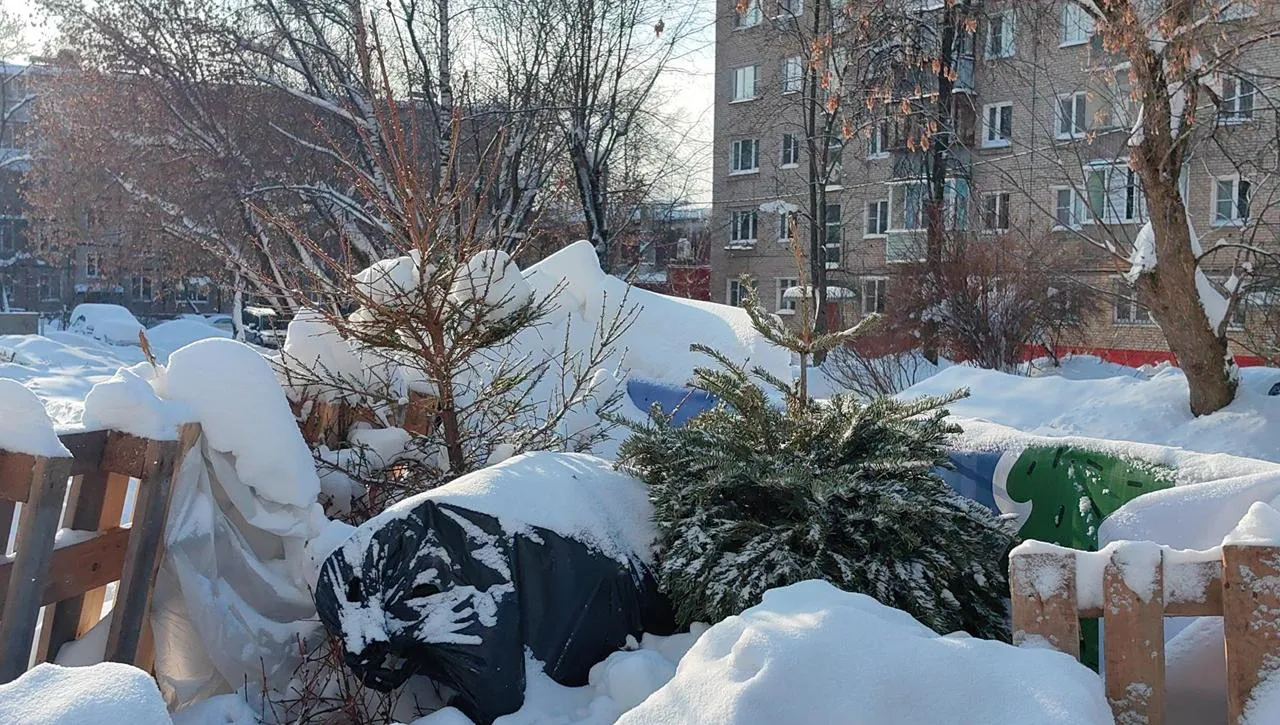 REGIONS/Елена Катасонова