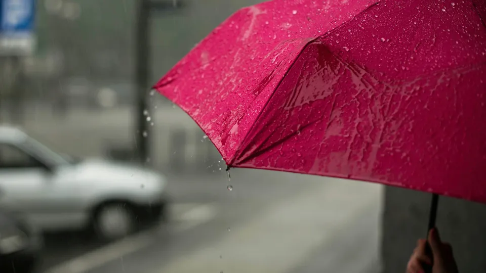 Фото: unsplash.com