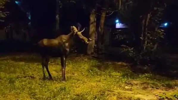 REGIONS/Cоздано нейросетью