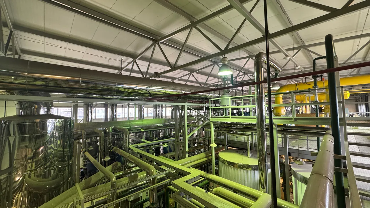 Мария Овчинникова