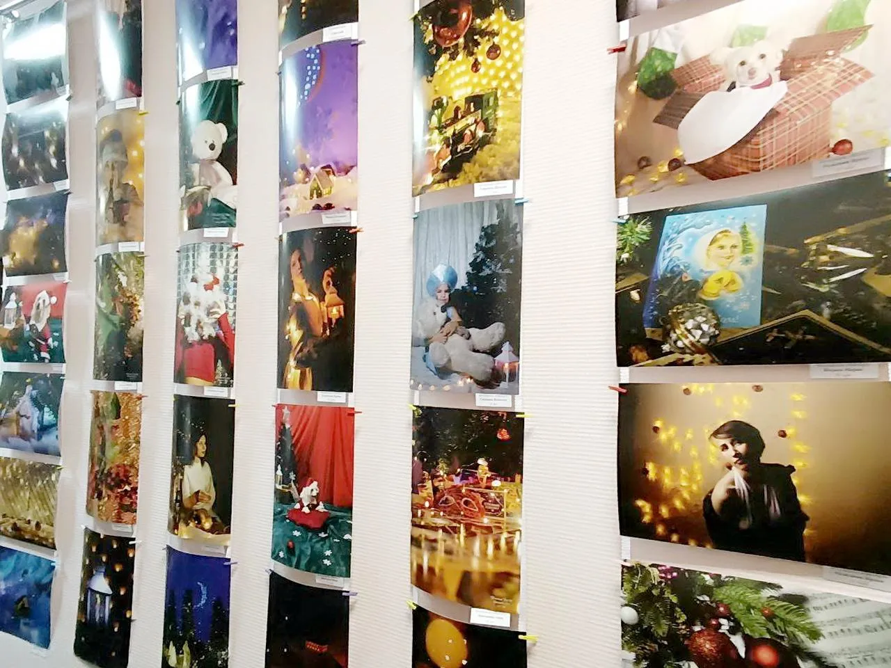 пресс-служба администрации Богородского городского округа