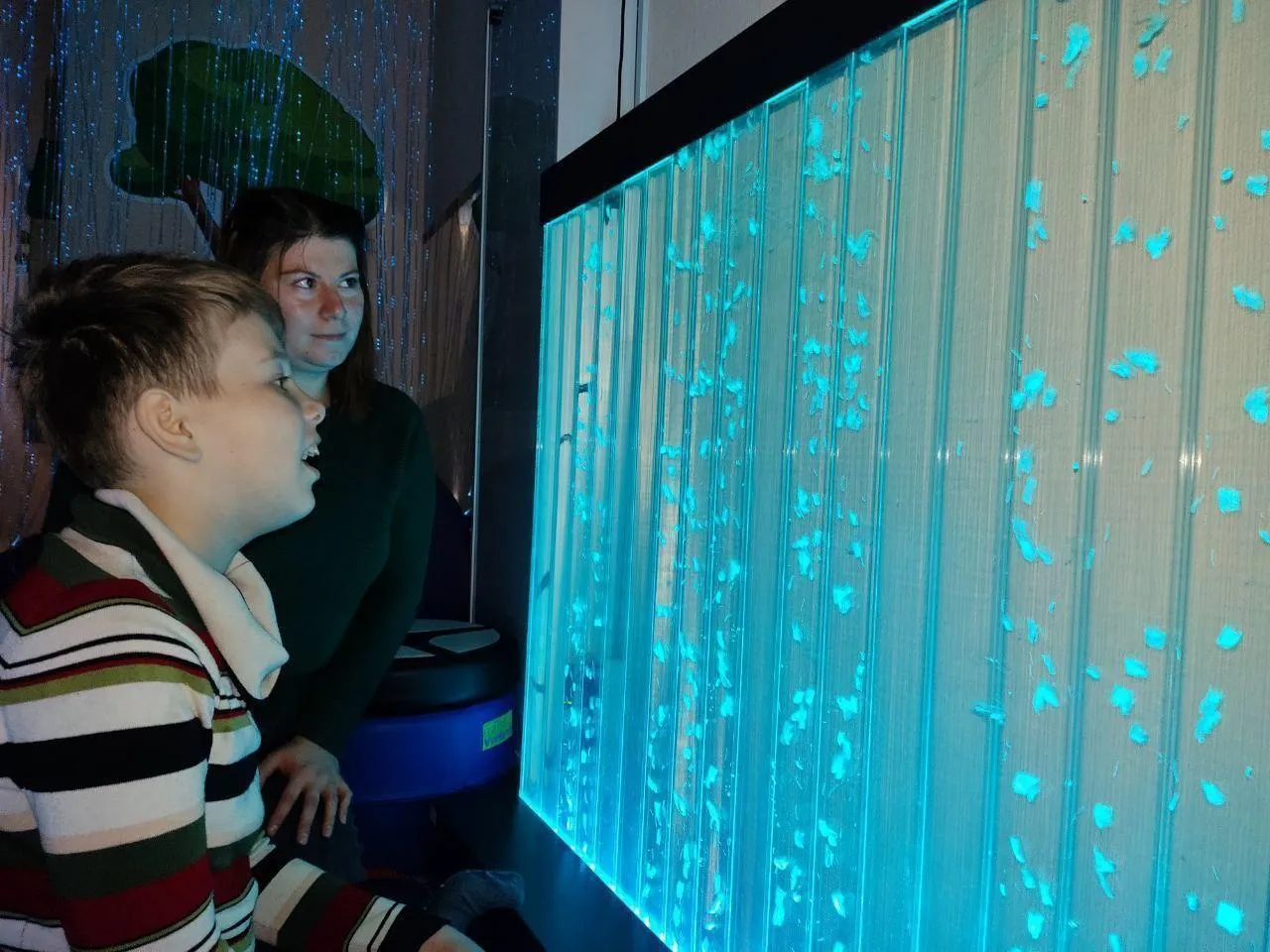 Министерство социального развития Московской области