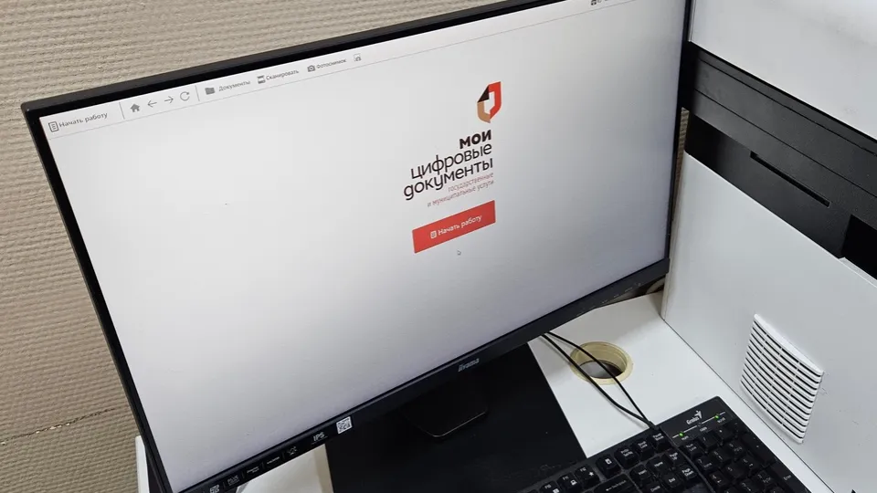 Фото: МедиаБанк Подмосковья/Вероника Горбачева