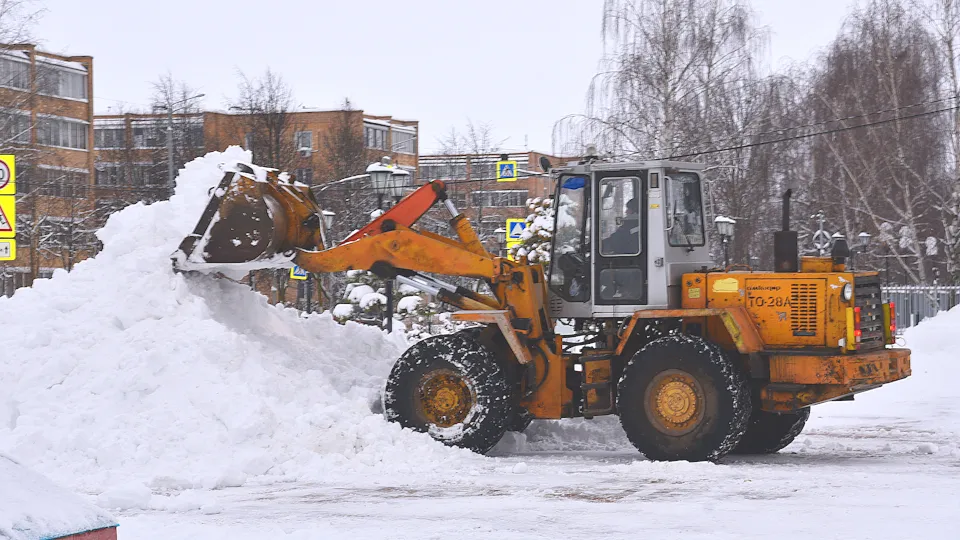 Фото: МедиаБанк Подмосковья/Владимир Останин