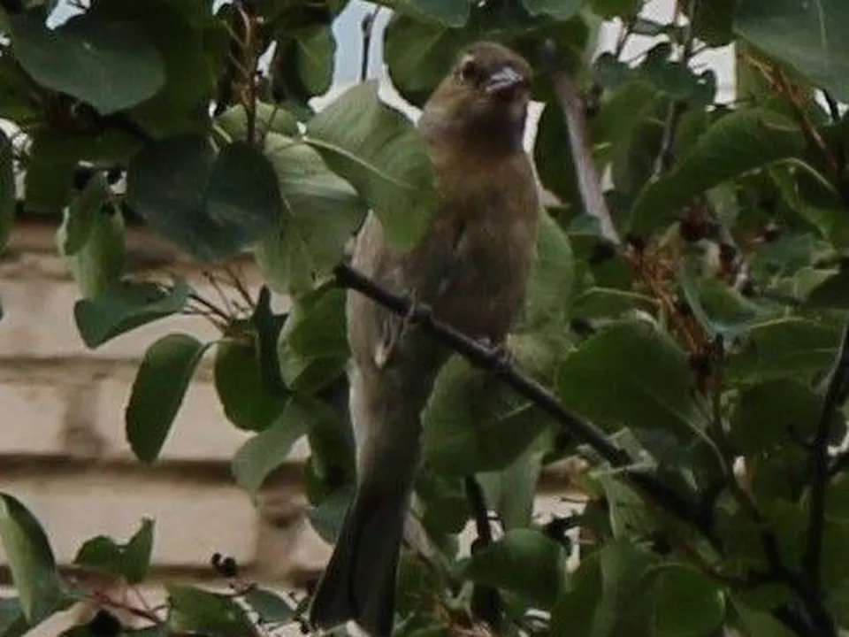Фото: ТВ «Угреша»