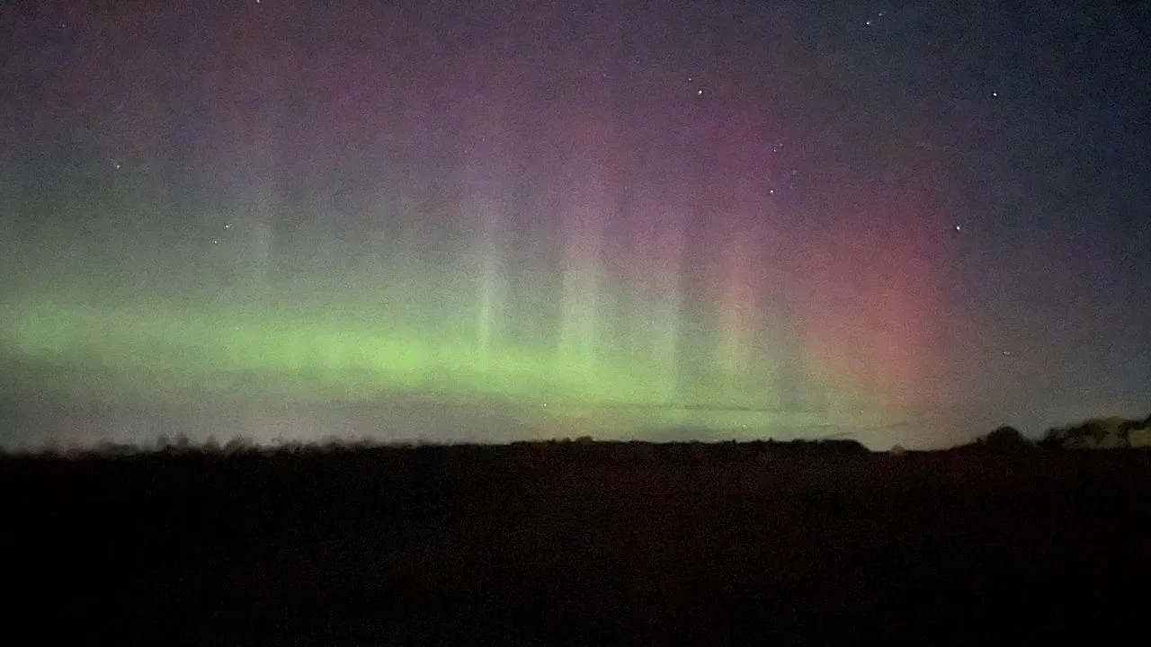 Дарья Леонова