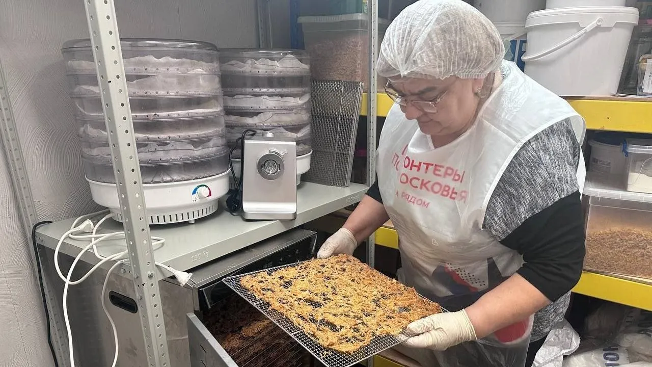 t.me/volonteerpodolsk