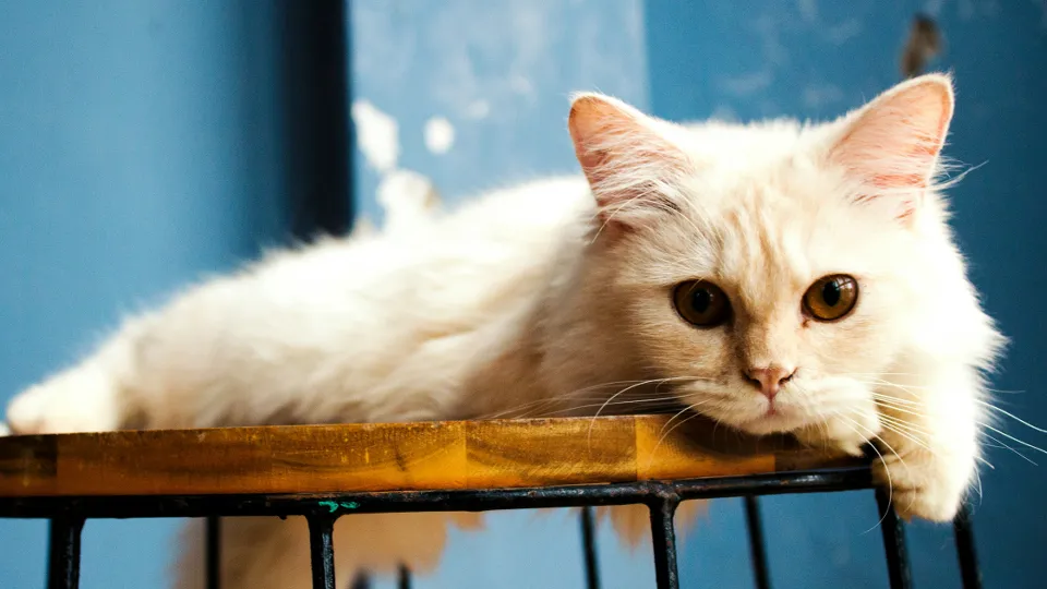 Фото: unsplash.com