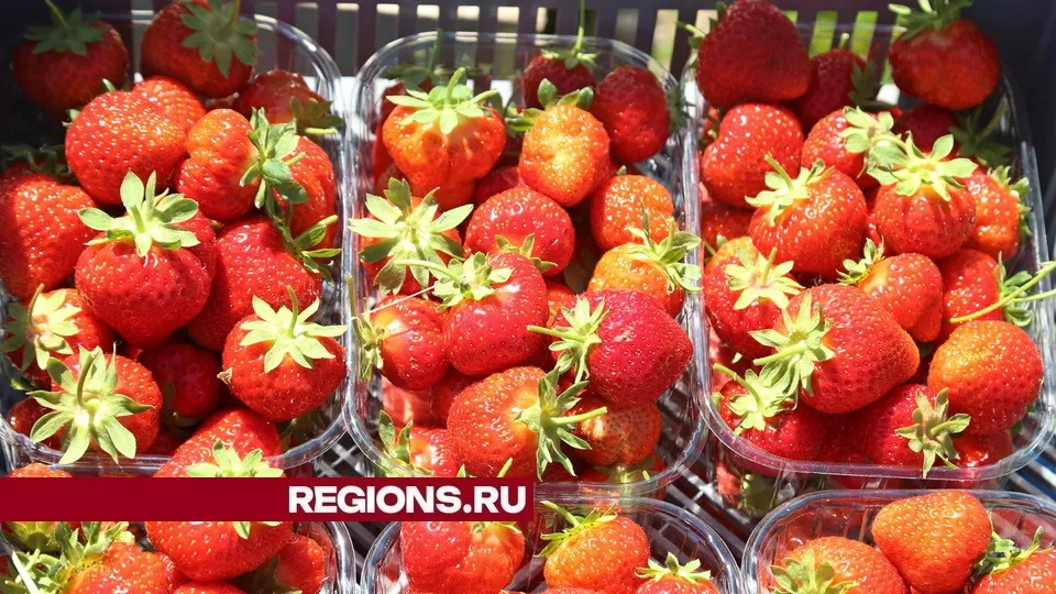 Фото: Александр Дрожжин