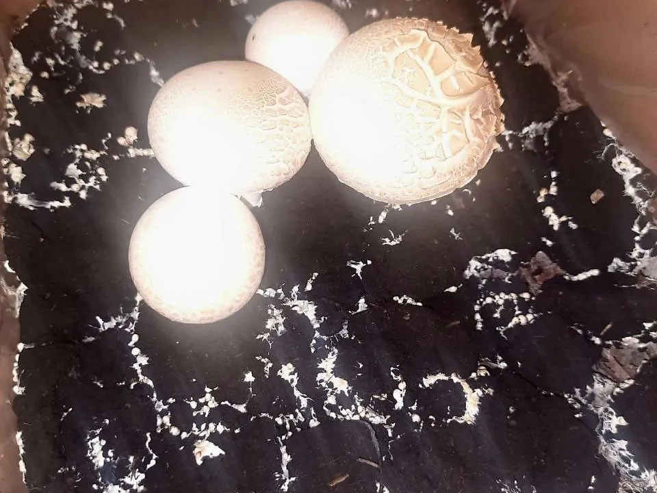 Фото: Юлия Габбасова