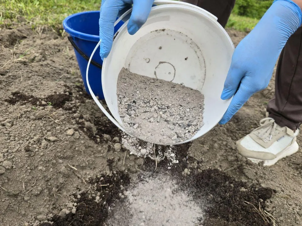 Фото: Яна Шаливская