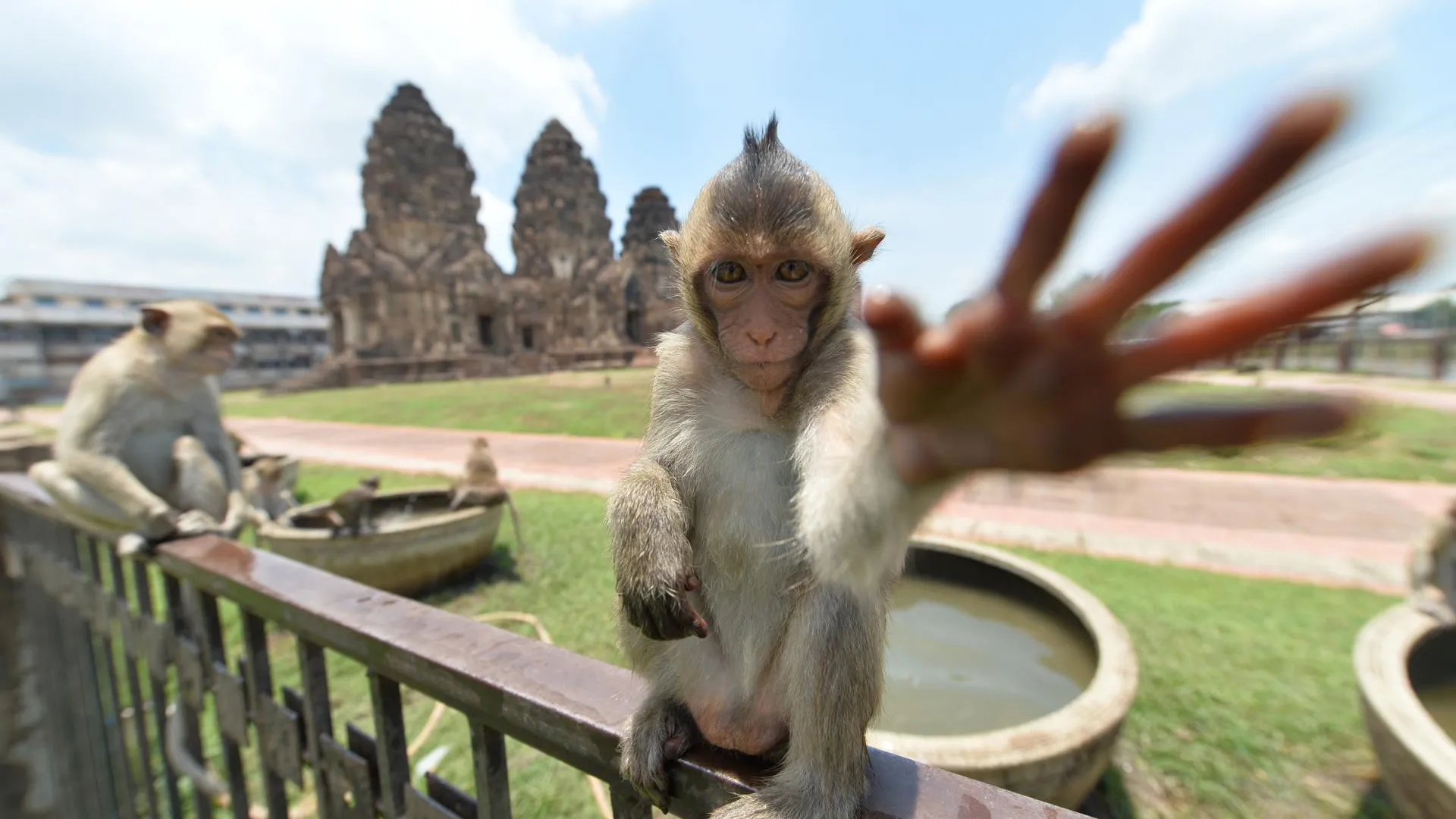 Rachen Sageamsak/XinHua/