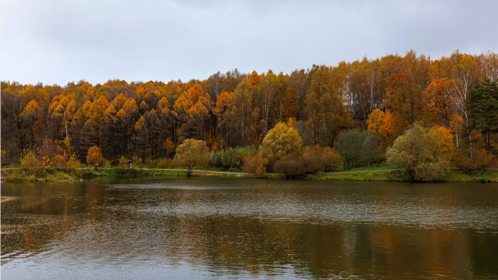 Фото: медиасток.рф