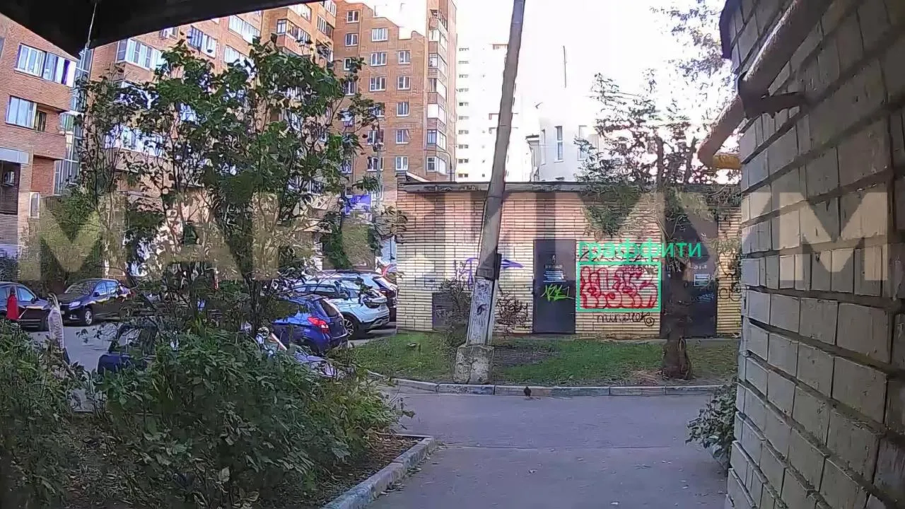 Около 1,6 тысячи незаконных граффити выявили по видеокамерам в Подмосковье за месяц