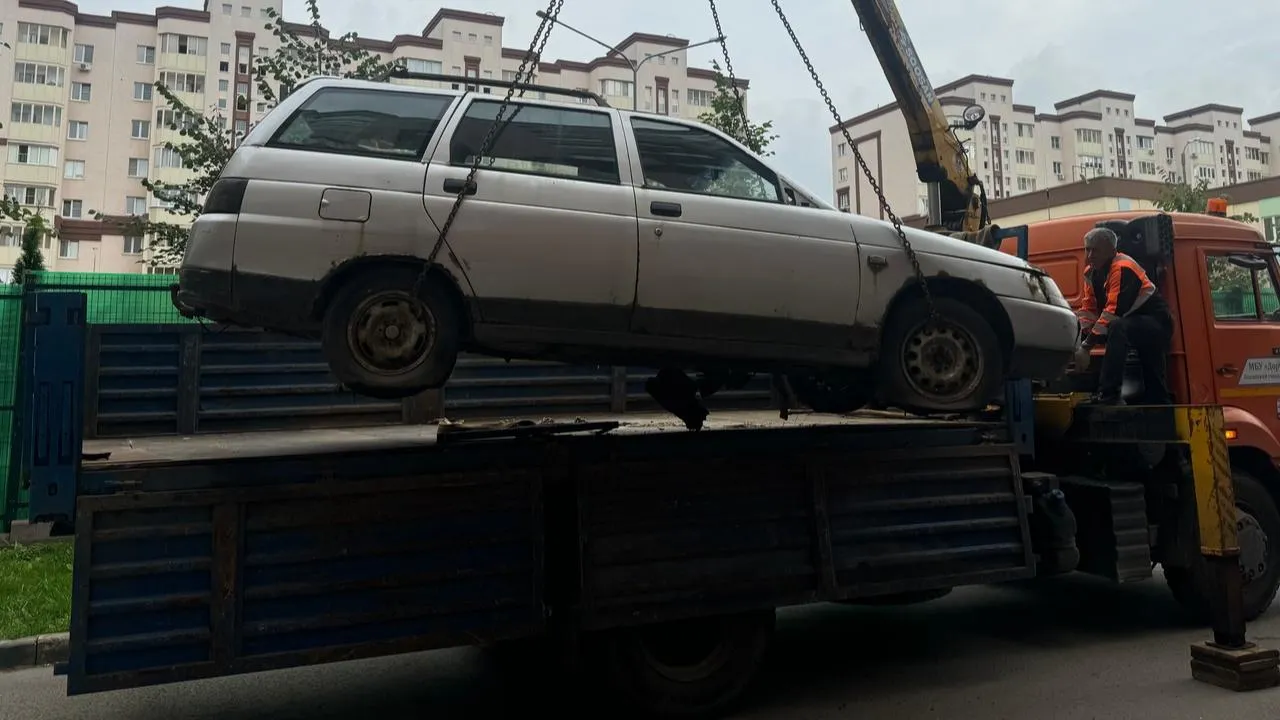 МедиаБанк Подмосковья/Полина Абраменко