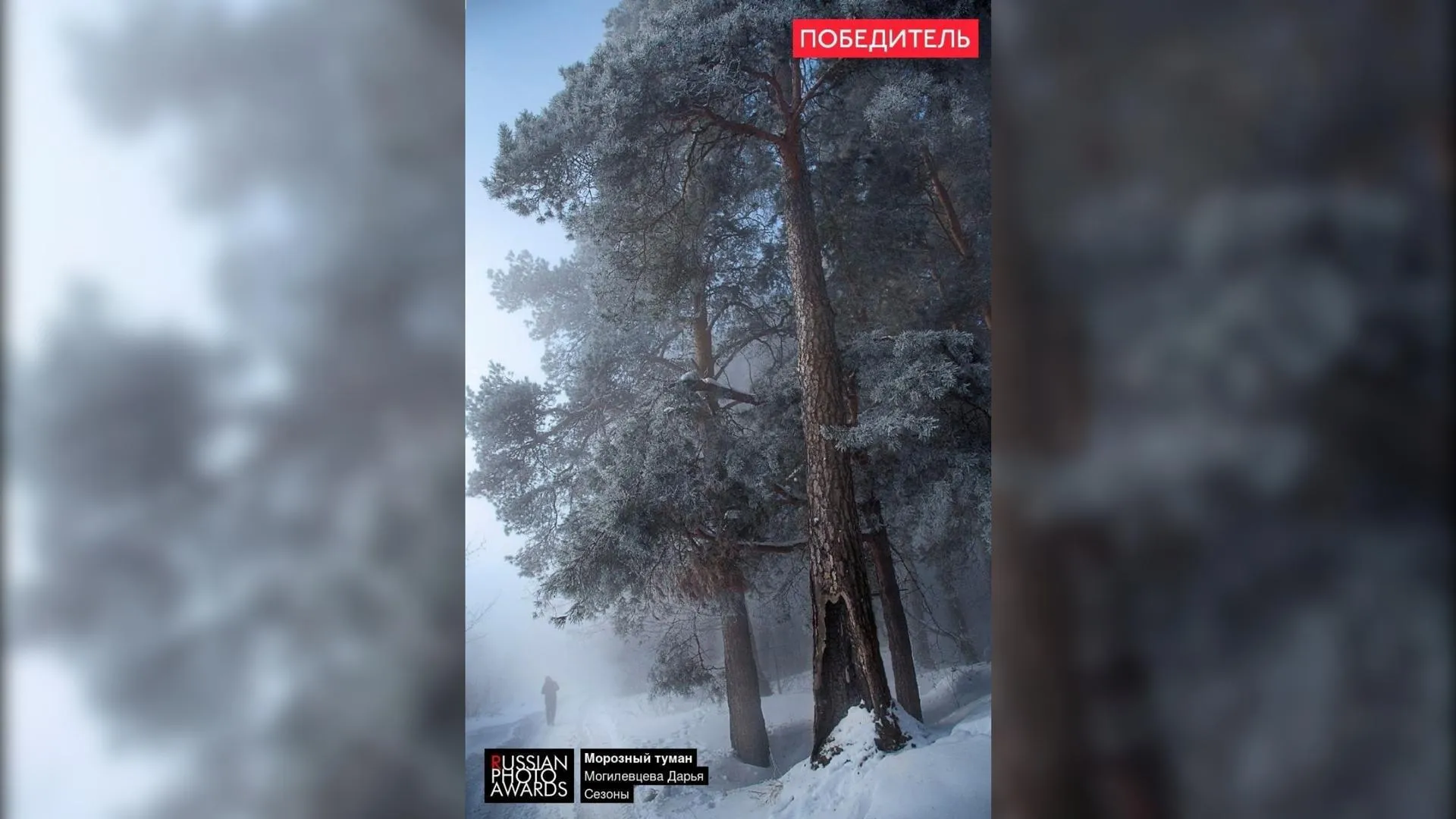 Фото: Дарья Могилевцева