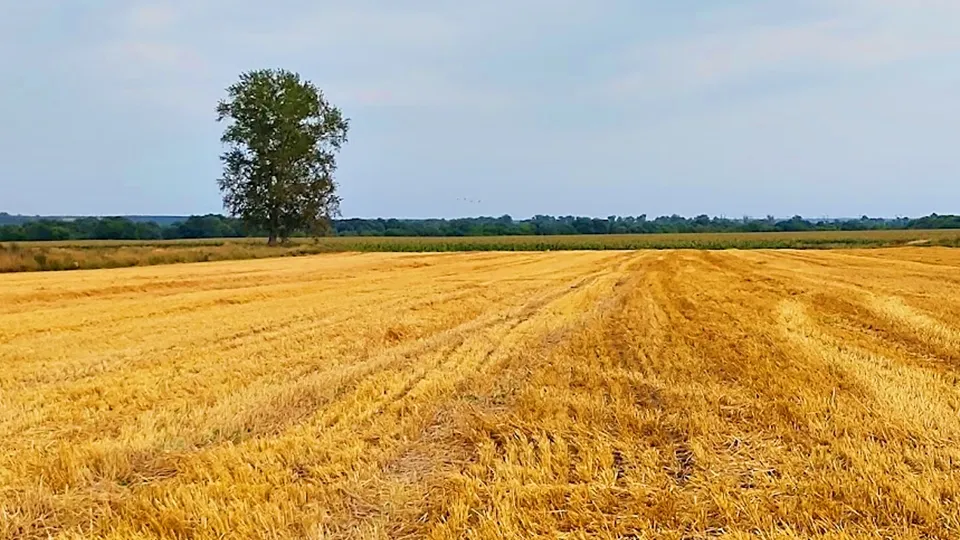 Фото: REGIONS/Алексей Селиверстов