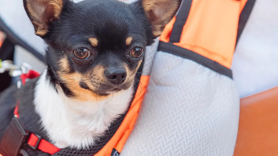 Фото: REGIONS/Наталия Надточая