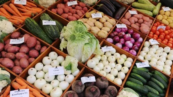 Ярмарка подмосковных продуктов откроется на ВДНХ 4 июня
