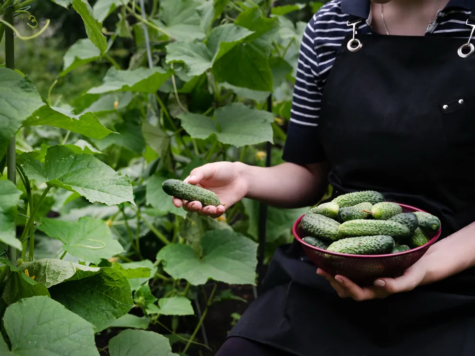 Фото: istockphoto.com