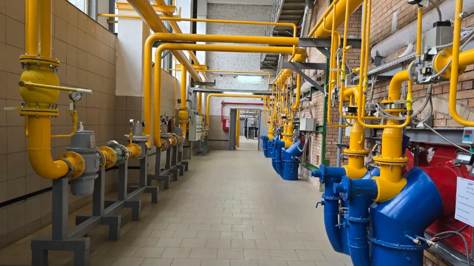 Фото: МедиаБанк Подмосковья/Яна Шаливская