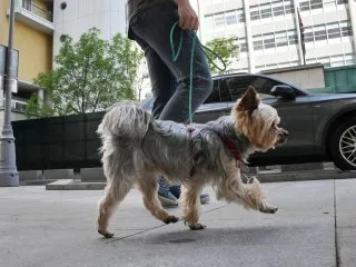 Фото: РИА Новости/Илья Питалев