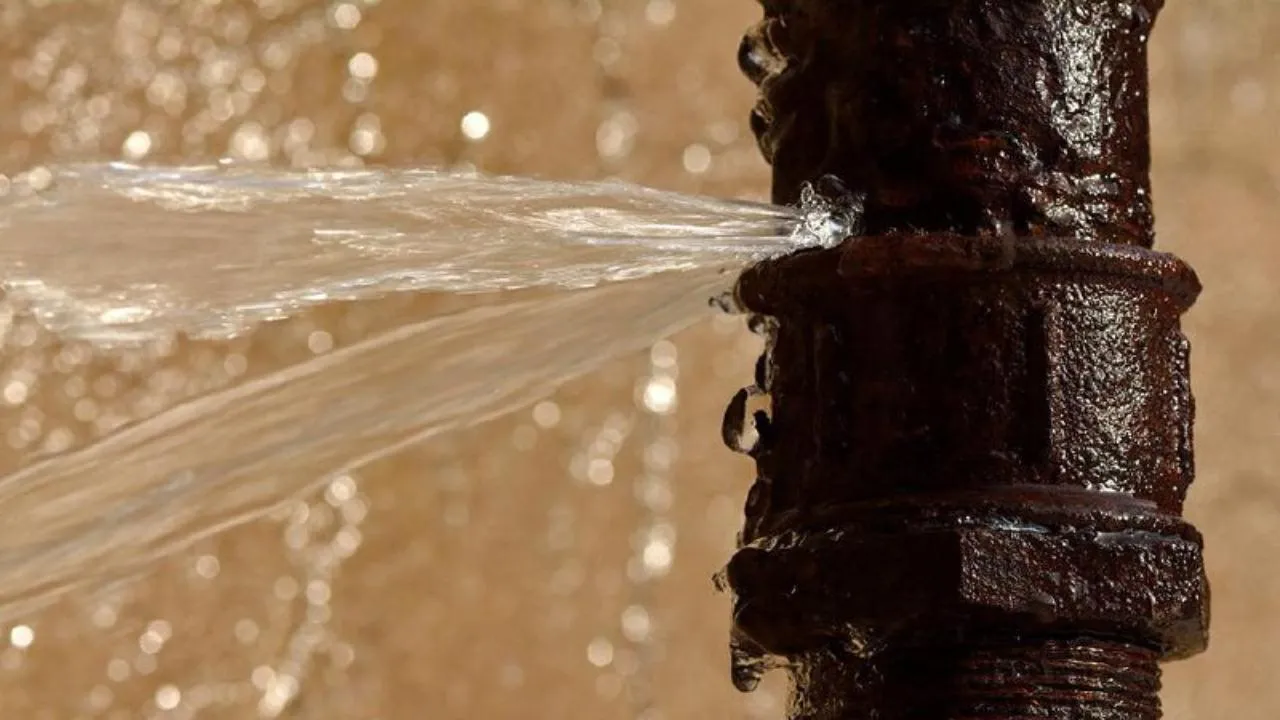 Фото: istockphoto.com/Ian_Redding